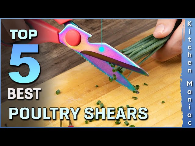 Best Poultry Shears, Top 6 for 2024