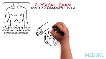 Urology – Infertility: By Alexander Pastuszak M.D.