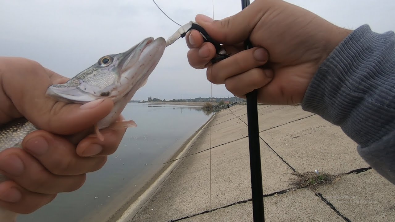 La răpitor pe Siret distracție maxima