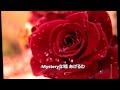 赤い不思議(ミステリー) 中森明菜 【covered by fuyajyo】 歌詞付き♪