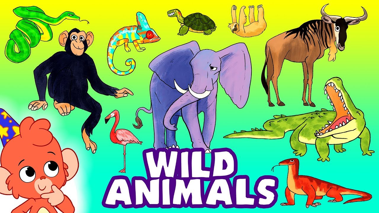 Learn Wild Animals For Kids, Wild Zoo Animals Names and Sounds for  Children