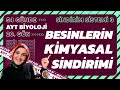 20) Besinlerin Kimyasal Sindirimi | Sindirim Sistemi | 11. Sınıf | AYT Biyoloji Kampı 20. Gün