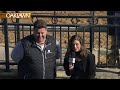 Oaklawn Park Jan. 25, 2025 The 75th Running of King Cotton Stakes