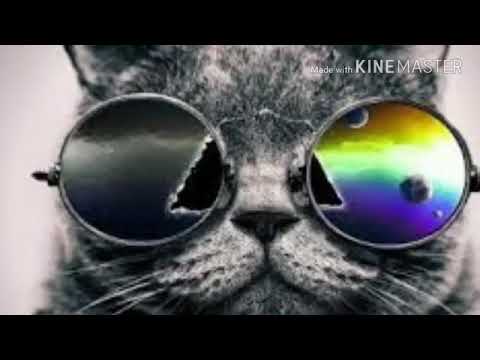 نعمة ايفون راءعة 