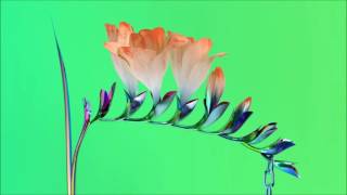 Flume - Quirk (Extended)