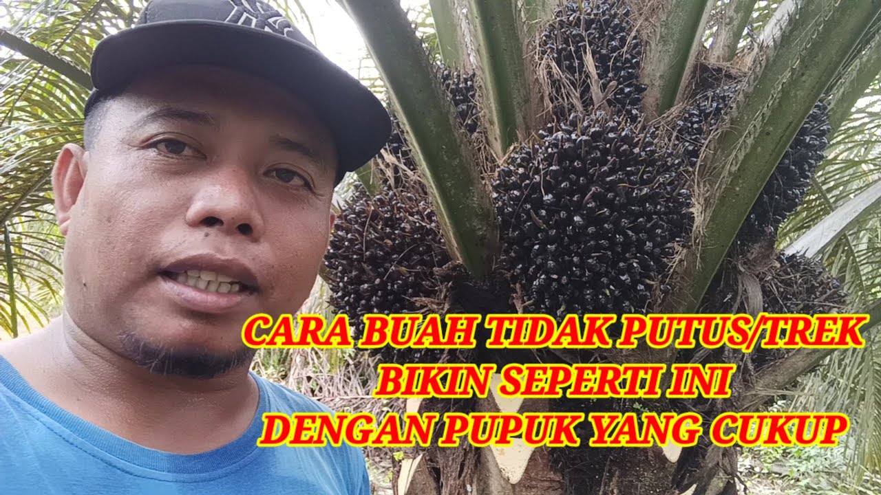 CARA BUAH TIDAK PUTUS/TREK BIKIN SEPERTI INI