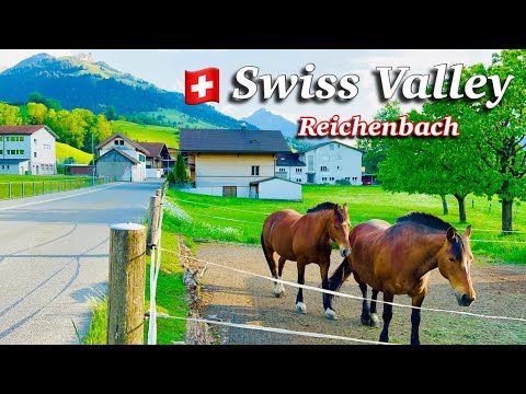 Swiss Valley Reichenbach beautiful Village in Switzerland Summer in Switzerland