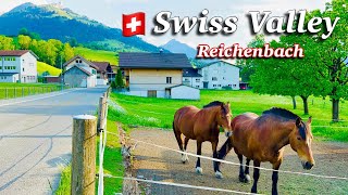 Swiss Valley Reichenbach _ beautiful Village in Switzerland 4K | Summer in Switzerland