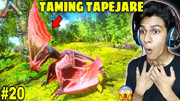 I Tamed a High Level Tapejara 😱 - Ark Mobile Gameplay - Part 20 (HINDI)