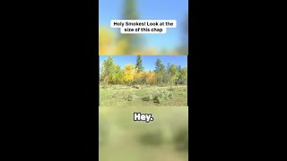 Holy Smokes! Look at the size of this chap