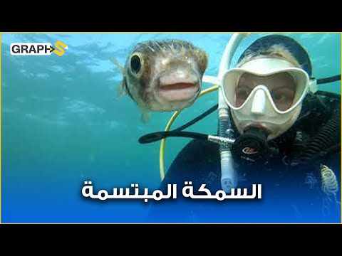 أخطر سمكة بالعالم تبتسم في صورة سيلفي