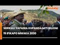 Miti Bilioni 15 Kupandwa Kabla Mwaka 2030