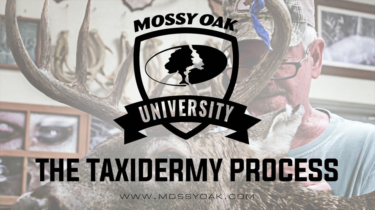 Ben Mears featured with Mossy Oak