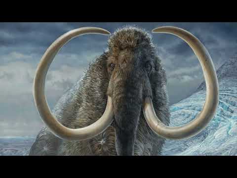 Mammoth Sounds