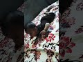 #cutebaby#youtubeshorts@Dilshansingh2025