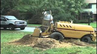 Stump Grinding - Any Stump, Any Size, Any Place