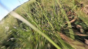 A comedy of errors (I blame it on being a Monday) - Dart XL Enhanced