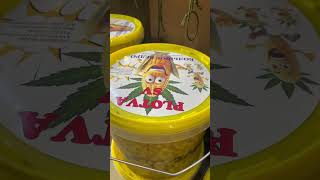 Зерновой карповое питание🎣🍽️ #fishing#рыбалканасазана#carpfishing