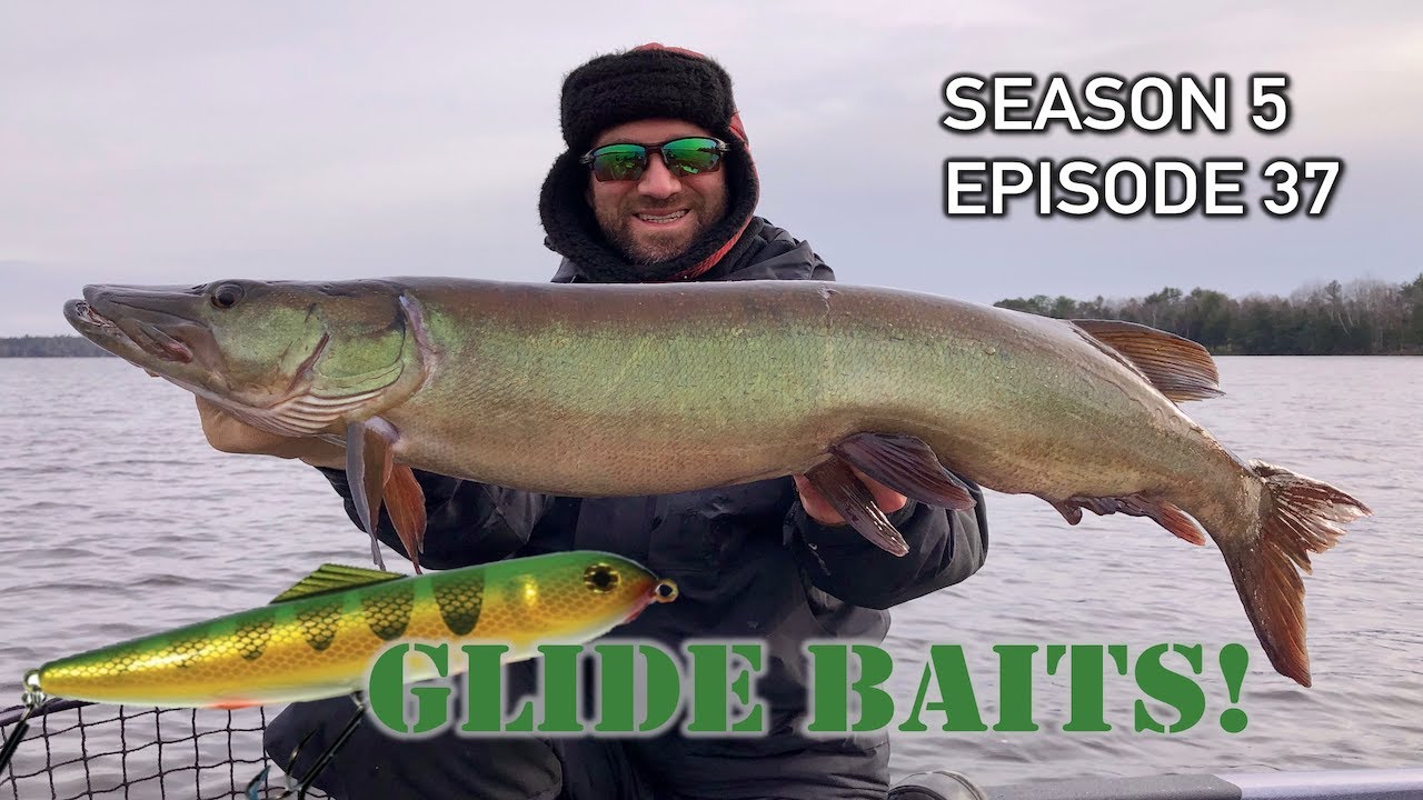 Musky Fishing in SUPER COLD Water! GLIDERS for the WIN! S5.E37 - YouTube