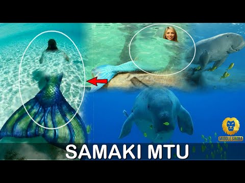 Video: Ukweli Kuhusu Samaki Wa Koi