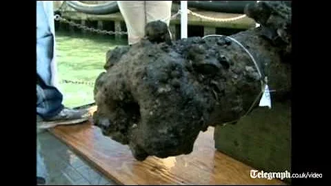 Blackbeard's cannon recovered from ocean after 300...