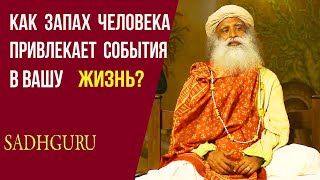 КАЖДЫЙ ЧЕЛОВЕК СПОСОБЕН ИЗМЕНИТЬ СЕБЯ!-САДХГУРУ#садхгуру #sadhguru #мудрость #wisdom васана