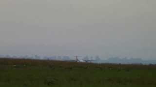 [Full HD]Air Serbia ATR 72-202 takeoff at Belgrade International Airport(BEG/LYBE)