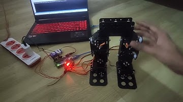Biped Walking Robot - Project assignment for Skyfi Labs online course - by V. Nesheer Sai Krishna
