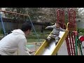 1歳7ヶ月の男の子 すべり台にチャレンジ!!笑顔で楽しいね【高画質 SONY HDR-CX900で撮影】