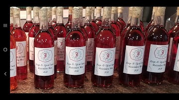 Step by Step How to Make Muscadine Wine