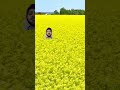 احمد الحناوي اغنية ياوردة مكانها بالبستان