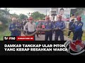 Ular Piton Besar Resahkan Warga Ditangkap | Kabar Hari Ini tvOne