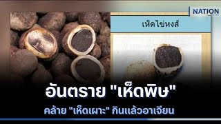 อันตราย 'เห็ดพิษ' คล้าย 'เห็ดเผาะ' กินแล้วอาเจียน | เนชั่นทันข่าวเช้า | NationTV22