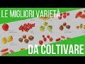 COLTIVARE POMODORI: QUALI VARIETÃ€ SCEGLIERE | FILE DELLA COLTIVAZIONE