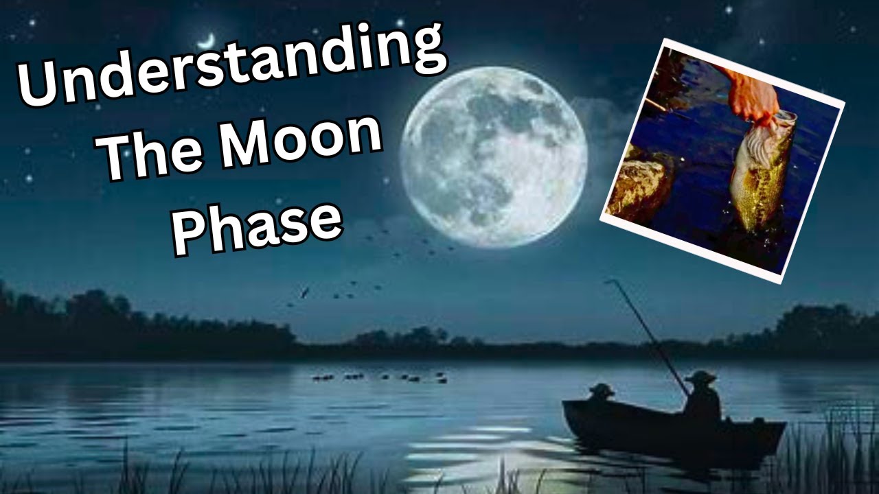 Understanding The Moon Phase and How They Effect Bass Fishing