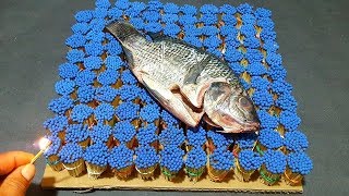 EXPERIMENTO; pescado vs 10000 cerillos
