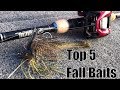 Top 5 Fall Baits and How to Fish'em