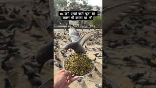 #Narayan Mil jayega #shortvideo #youtubeshorts #viralshort #trending