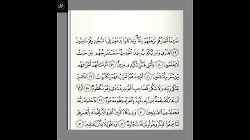 # قرآن سورة القلم : من الآية ( ٤٣ - ٥٢ ) الجزء التاسع والعشرون