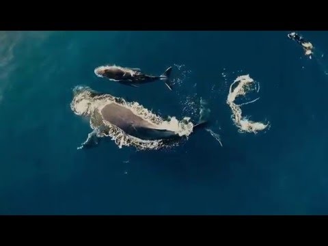 Breathtaking Drone Video of Réunion Island - Featured Creator Drone Visites