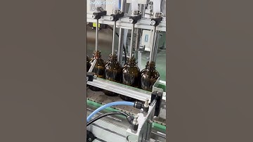 Bottle filling machine (4 heads)/Liquid filling machine