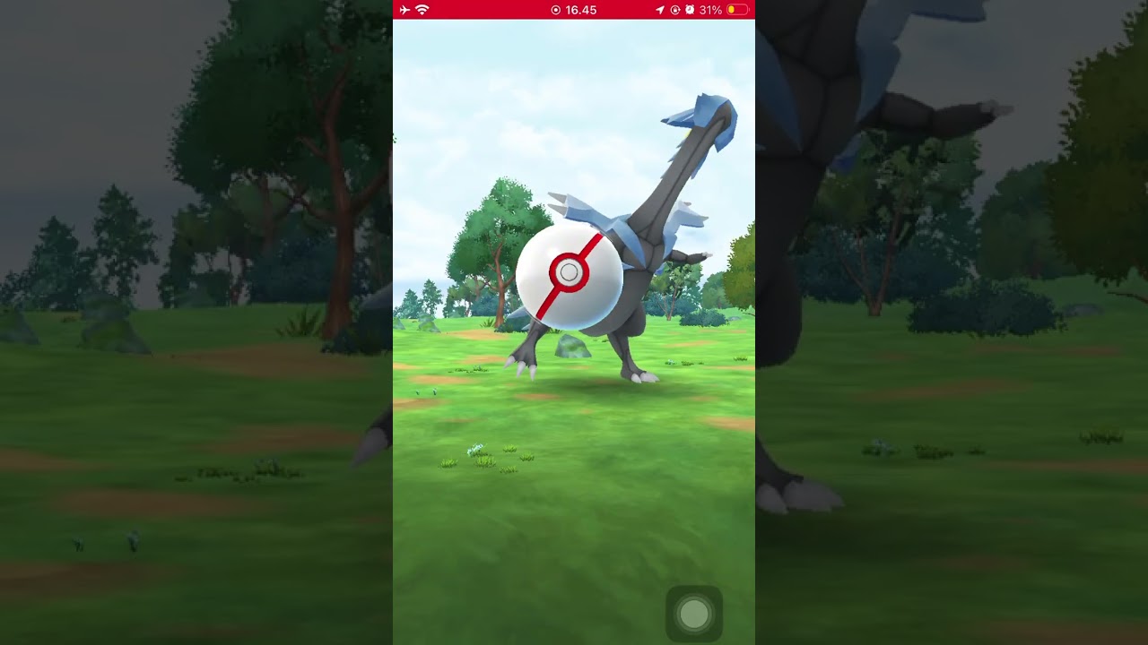 raid day, white kyurem