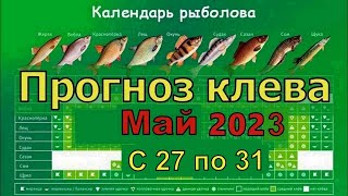 Прогноз клева рыбы на Эту неделю с 26 по 31 Мая 2023 Календарь рыбака на май Лунный календарь рыбака