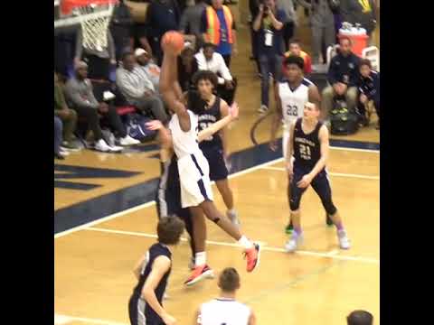 Scottie Barnes Did Him DIRTY👍#shorts
