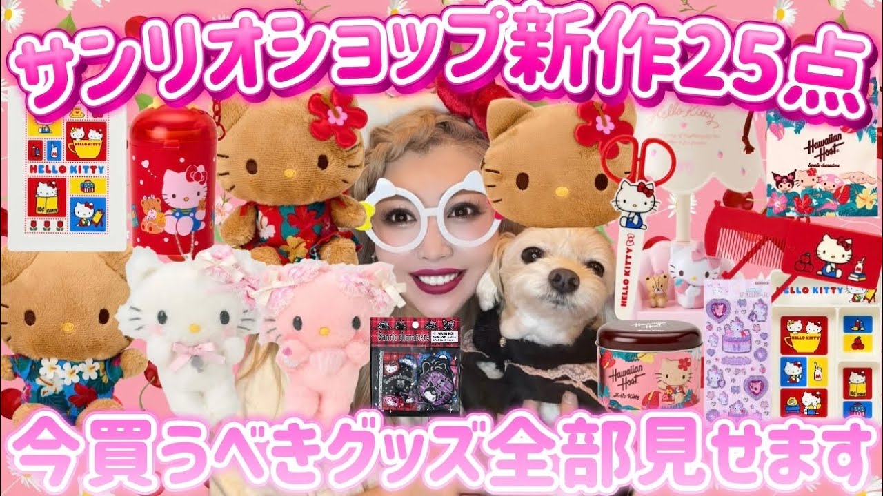 Buying spree] Introducing 25 new Sanrio shop purchases 🍓🩰 The