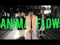 Miniature de la vidéo de la chanson Animal Flow