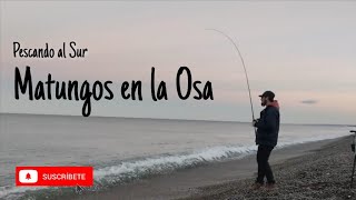 PESCA DE PEJERREY EN LA BAJADA DE LA OSA - SANTA CRUZ