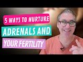 Are your adrenals messing with your fertility