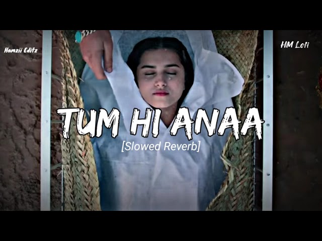 Tum Hi Anaa | Lofi | Slowed Reverb | Jubin Nautiyal @HM_LOFI #lofi #viral #slow class=