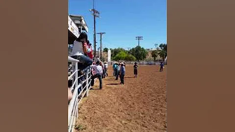 Chalito calf riding Brawley ca 2016 day 1